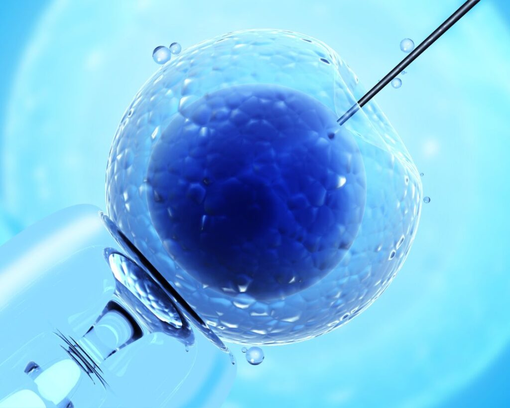 clinica de reprodução humana curitiba fiv curitiba