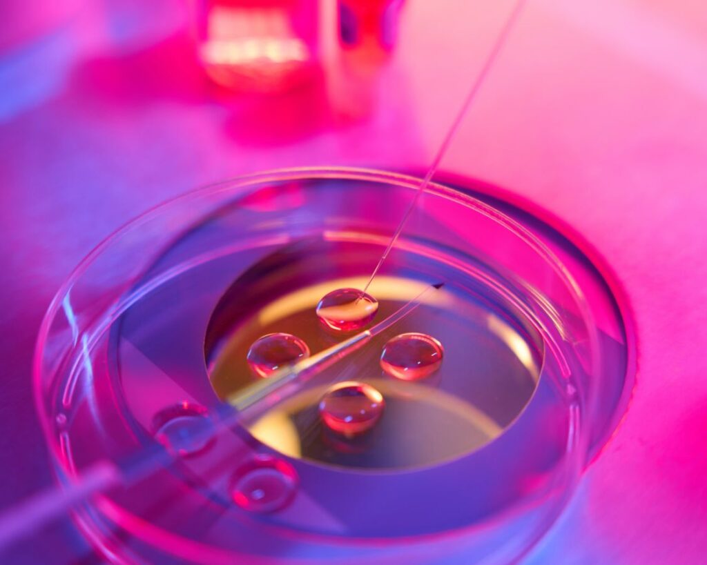 clinica de reprodução humana curitiba fiv curitiba