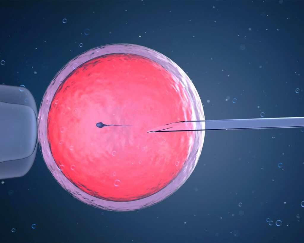 clinica de reprodução humana curitiba fiv curitiba