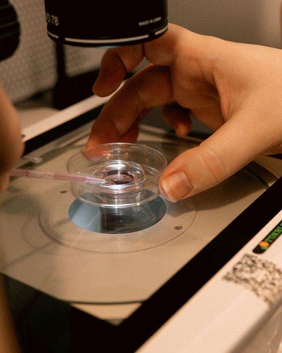 clinica de fertilidade curitiba. clinica de reprodução humana curitiba