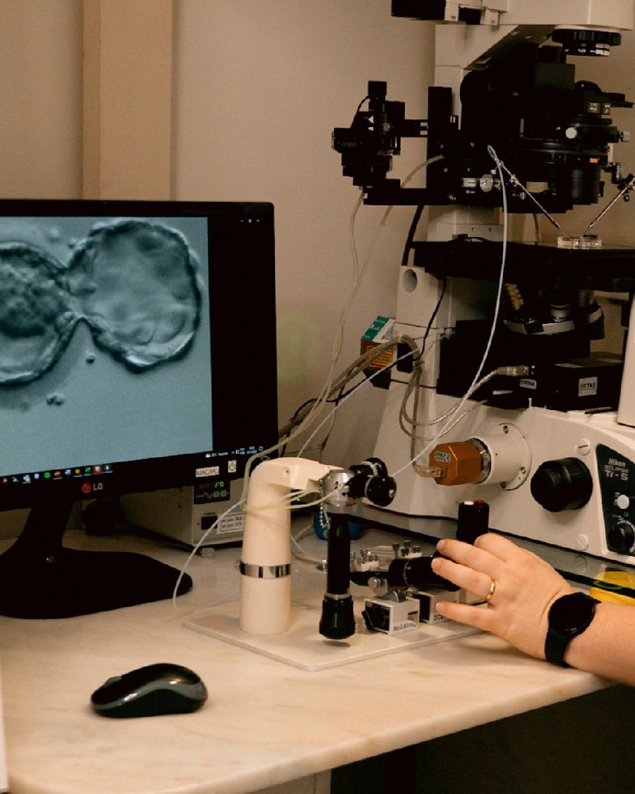 clinica de fertilidade curitiba. fiv curitiba. inseminação curitiba.