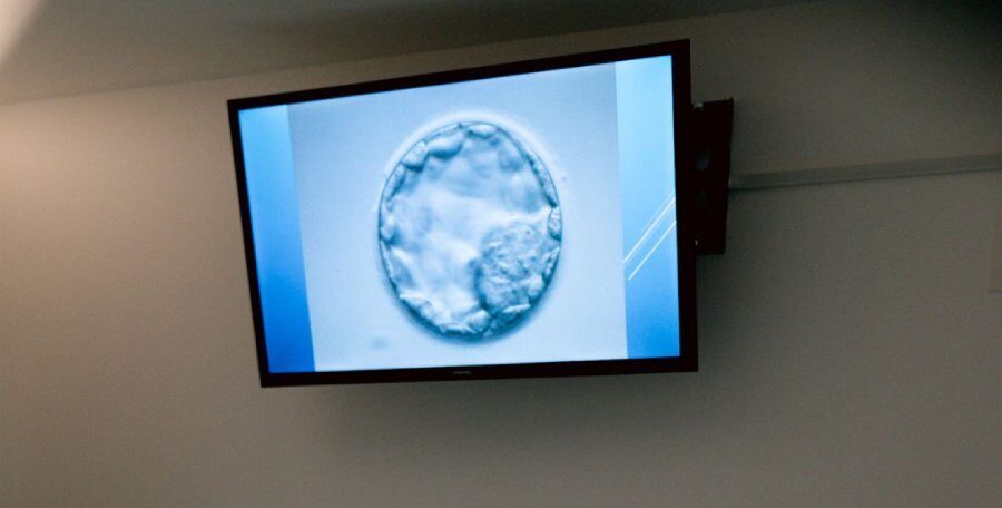 clinica de fertilidade curitiba. clinica de reprodução humana curitiba